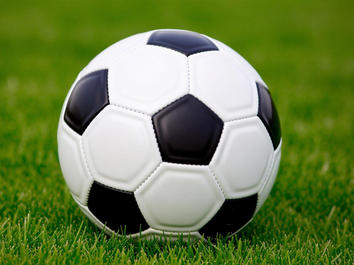 开云体育官网在线-中国女篮以速度拉开空间创造机会，中国女 篮